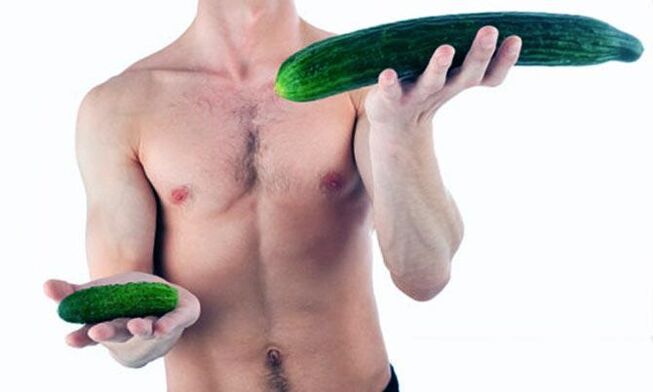Visualisation d'un petit et grand pénis masculin